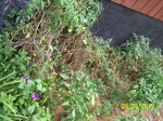 2012-10-11_22-34-55_VA-CR-3-East-2.JPG