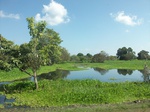 5830100_1486.JPG
