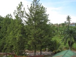 14834IMG_5227.JPG