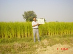 6547gt052-cropland-2.jpg