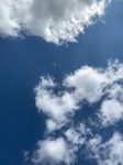 2020-10-22_12-15-47_2020-10-22-12-15-29.jpg