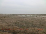 39105CIMG4811.gps.jpg