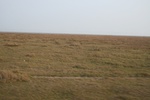 4261IMG_8900.JPG
