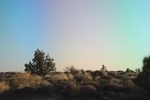 2017-05-07_18-49-01_2017-03-14 19.02.34.jpg