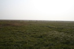 4502IMG_8583.jpg