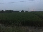 2017-09-12_10-35-10_74A39579-3CCB-4E10-A892-B592F4815B8B.jpg