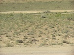 38685CIMG0221.JPG