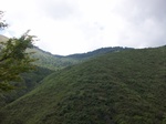 5577100_0975.JPG