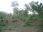 4063RIMG0367.JPG