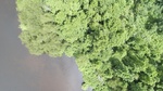 2017-06-12_13-57-37_DJI_0023.jpg