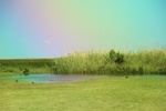2022-05-26_14-42-57_97ABF091-094E-4E73-9046-5EF1D99900E9.jpeg