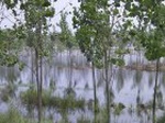 1209R0015054_small.jpg