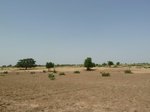 19171P1010017.JPG