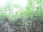 2012-09-21_16-12-24_CIMG2997.JPG