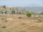 1718220042008(108).JPG