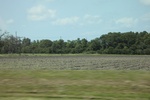 2022-06-11_16-13-22_49DFDC23-39FF-4917-8125-8F5C19B3FE9A.jpeg