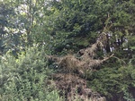 2016-07-28_10-13-58_0F2CCF41-1B43-498B-8AAA-61283C7D4B66.jpg