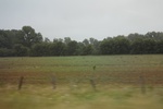 2022-06-12_15-03-52_46CC59EF-7CF2-4939-927B-B95DEFE69263.jpeg
