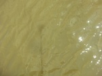 58597CIMG3047.JPG