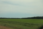 2022-05-26_15-09-55_00552E5D-C027-402D-AD1A-740D579C81E6.jpeg