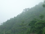 2012-09-08_20-00-45_RIMG0016.JPG
