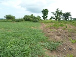 18674P1000512.JPG
