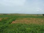 18853P1000694.JPG
