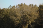 2018-04-30_10-43-24_2017-09-14 15.53.01.jpg