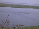 2819 042.jpg