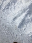 2018-03-02_15-00-04_617A265C-FCBC-4B3B-AAF9-3A080EEC6BAF.jpg