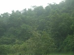 2012-09-08_19-26-37_RIMG0045.JPG