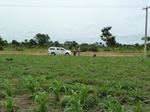 18587P1000424.JPG