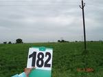 126650182b-rainfed-agriculture-cotton-dominant-millet-soyabean.gif