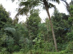 15275IMG_4100.JPG