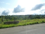 18329P1000165.JPG