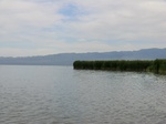 38557CIMG0085.JPG