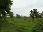 18529P1000365.JPG