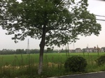 2017-09-10_07-07-20_0B8F08C8-0BBE-414D-AC95-B0C2DF0FD959.jpg