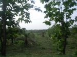 4054RIMG0358.JPG