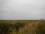 2012-10-22_03-12-26_DSCN2413.JPG