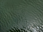 58356CIMG2805.JPG