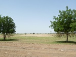19166P1010012.JPG