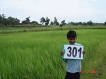 73950301c-rainfed-agriculture-rice.jpg