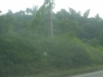 2012-09-08_18-23-41_RIMG0145.JPG