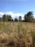 2012-09-16_20-55-57_WA-KG-106-8.JPG