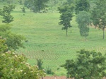 18517P1000353.JPG