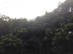 2017-09-10_06-57-50_A0BF1907-DD65-445B-9D0E-519F3A285DA8.jpg