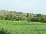 1693502052008(94).JPG