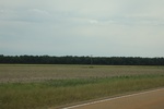 2022-05-26_14-29-00_F9DD2FDC-6C7F-45A8-B11E-FDA887634373.jpeg