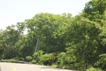 2022-06-11_15-46-02_9BD21D54-ABA3-4A05-917C-992BCEC5EEEC.jpeg